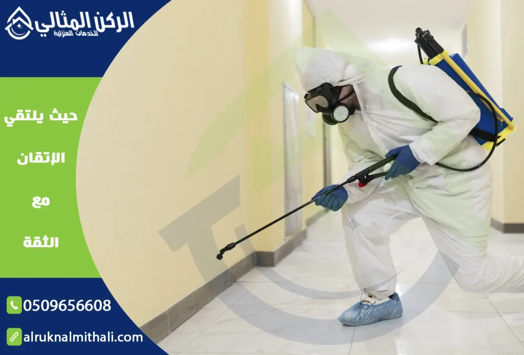شركة مكافحة حشرات بخميس مشيط | 0509656608 | إبادة تامة بالضمان الفعلي | شركة الركن المثالي للخدمات المنزلية
