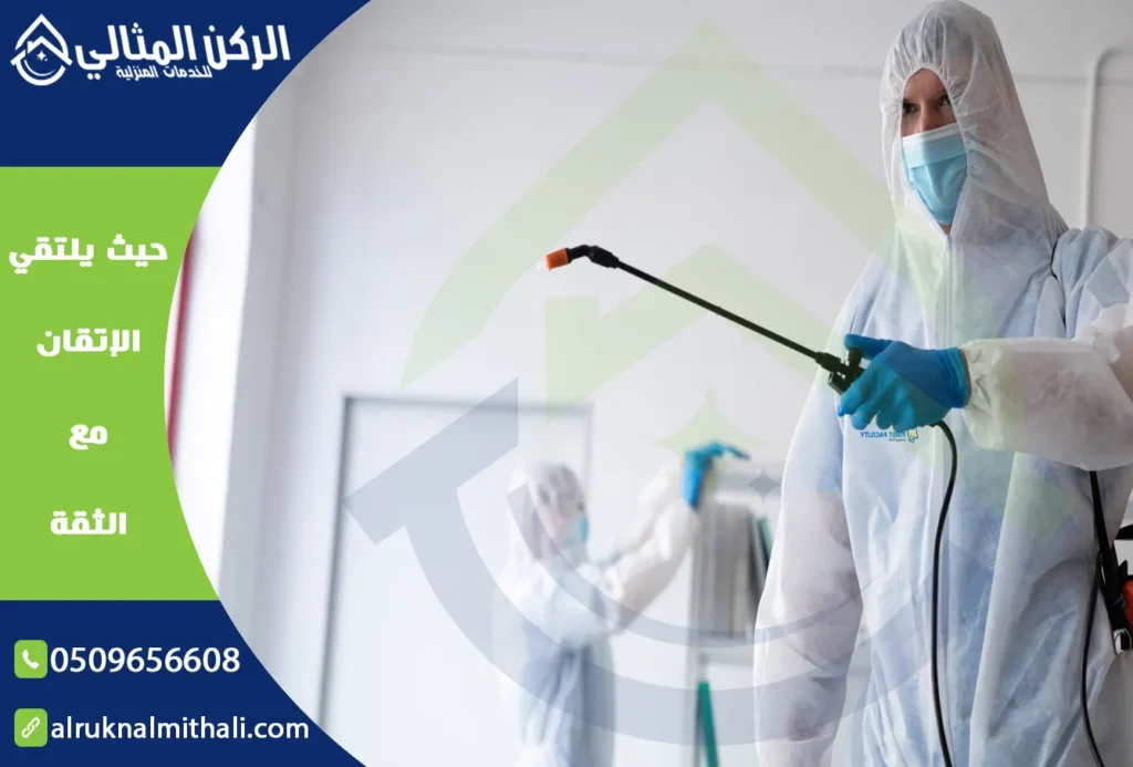 شركة مكافحة حشرات بخميس مشيط | 0509656608 | إبادة تامة بالضمان الفعلي | شركة الركن المثالي للخدمات المنزلية