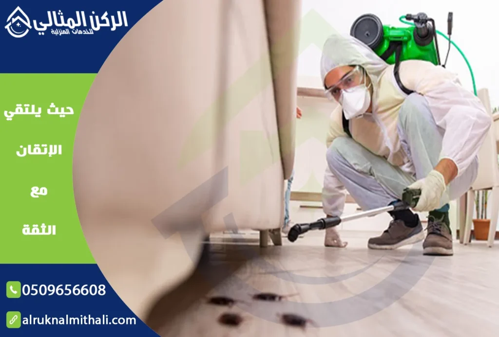 شركة مكافحة حشرات بخميس مشيط | 0509656608 | إبادة تامة بالضمان الفعلي | شركة الركن المثالي للخدمات المنزلية