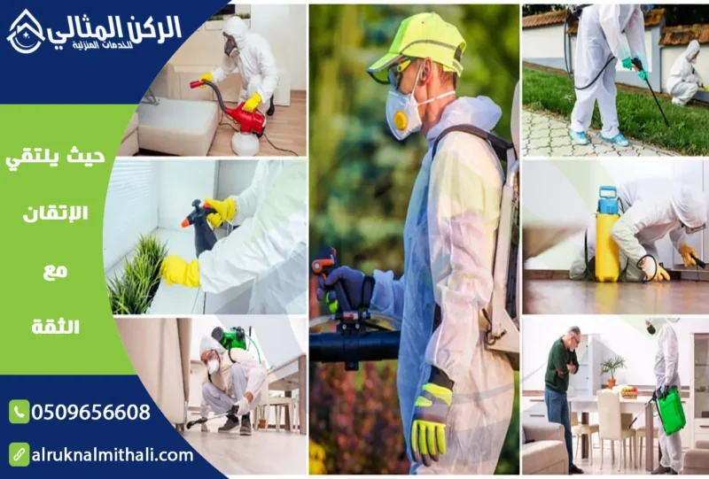 شركة مكافحة حشرات بخميس مشيط | 0509656608 | إبادة تامة بالضمان الفعلي